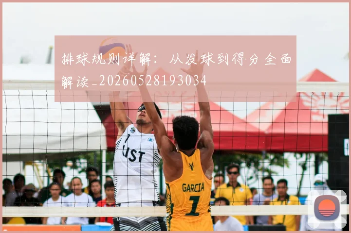 排球规则详解:从发球到得分全面解读_20260528193034